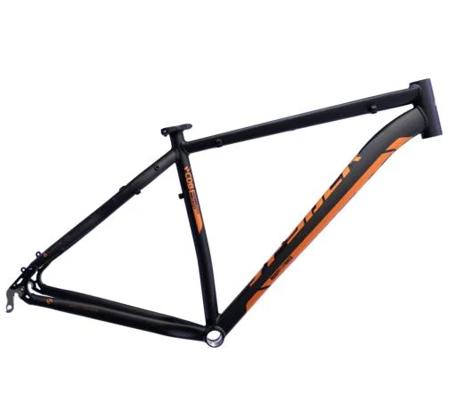 koloneto-277672