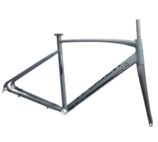 koloneto-277957