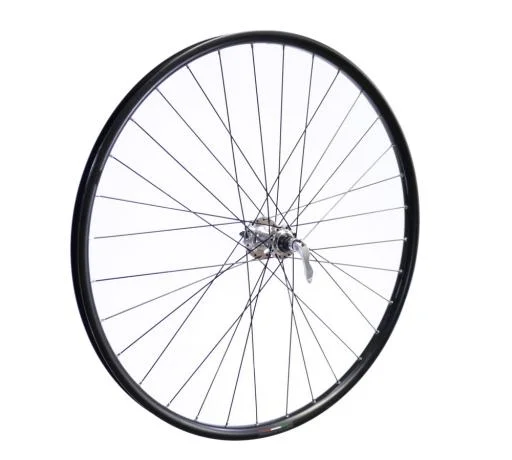 koloneto-278205