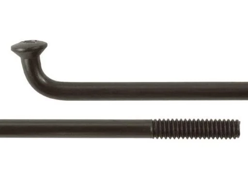 koloneto-283282