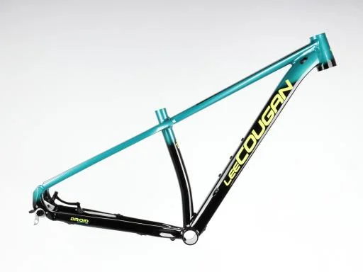 koloneto-286131