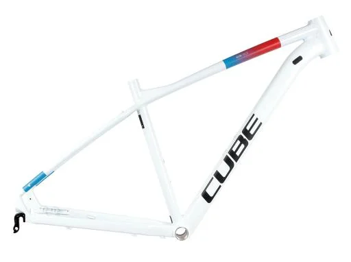 koloneto-295036