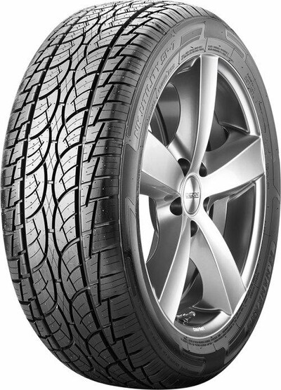 pneuboss1-311685