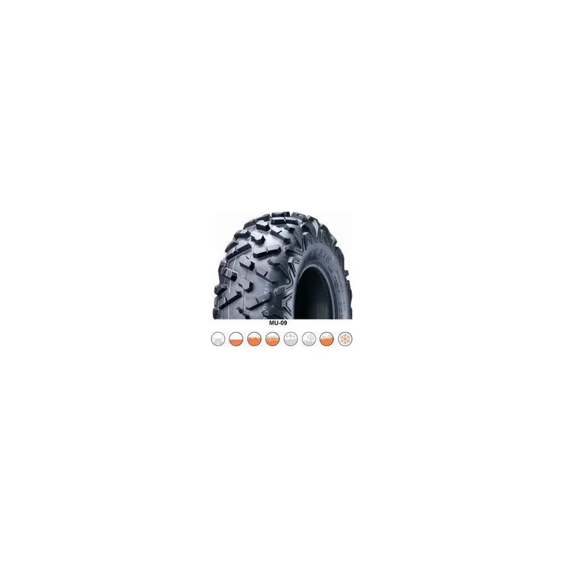 pneumoto-255418